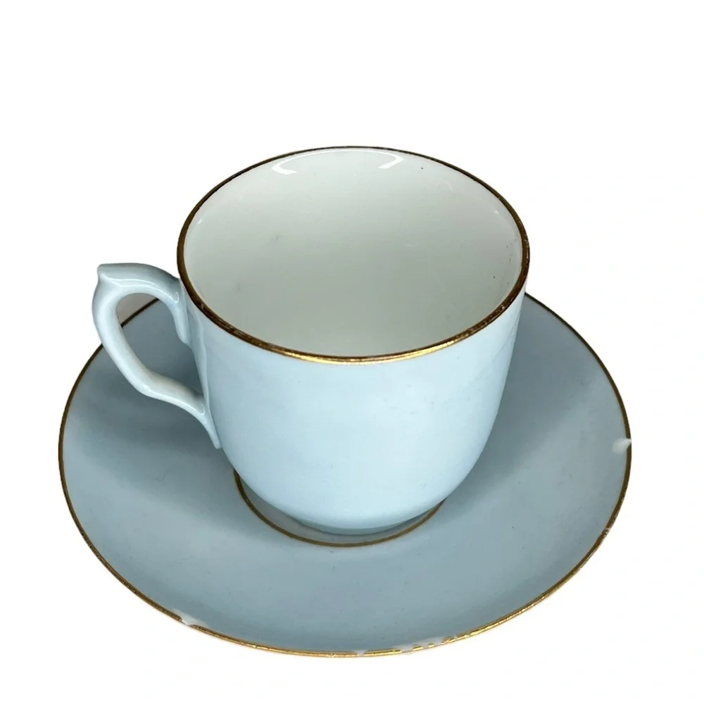 Vintage Haviland China Cup & Saucer as is‎